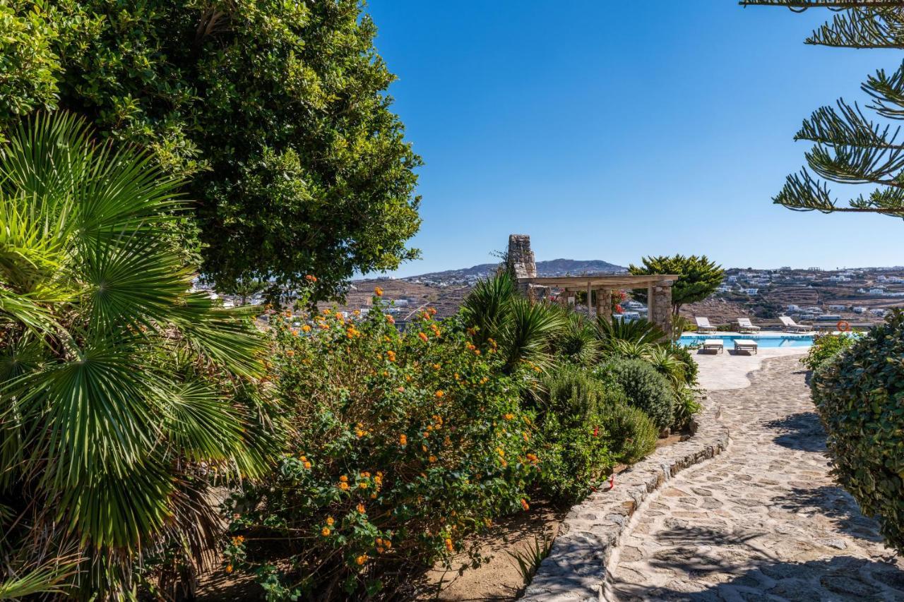 Yalos Mykonos Ornos Pouli Private W Shared Swimming Pool Apartment Mykonos Town