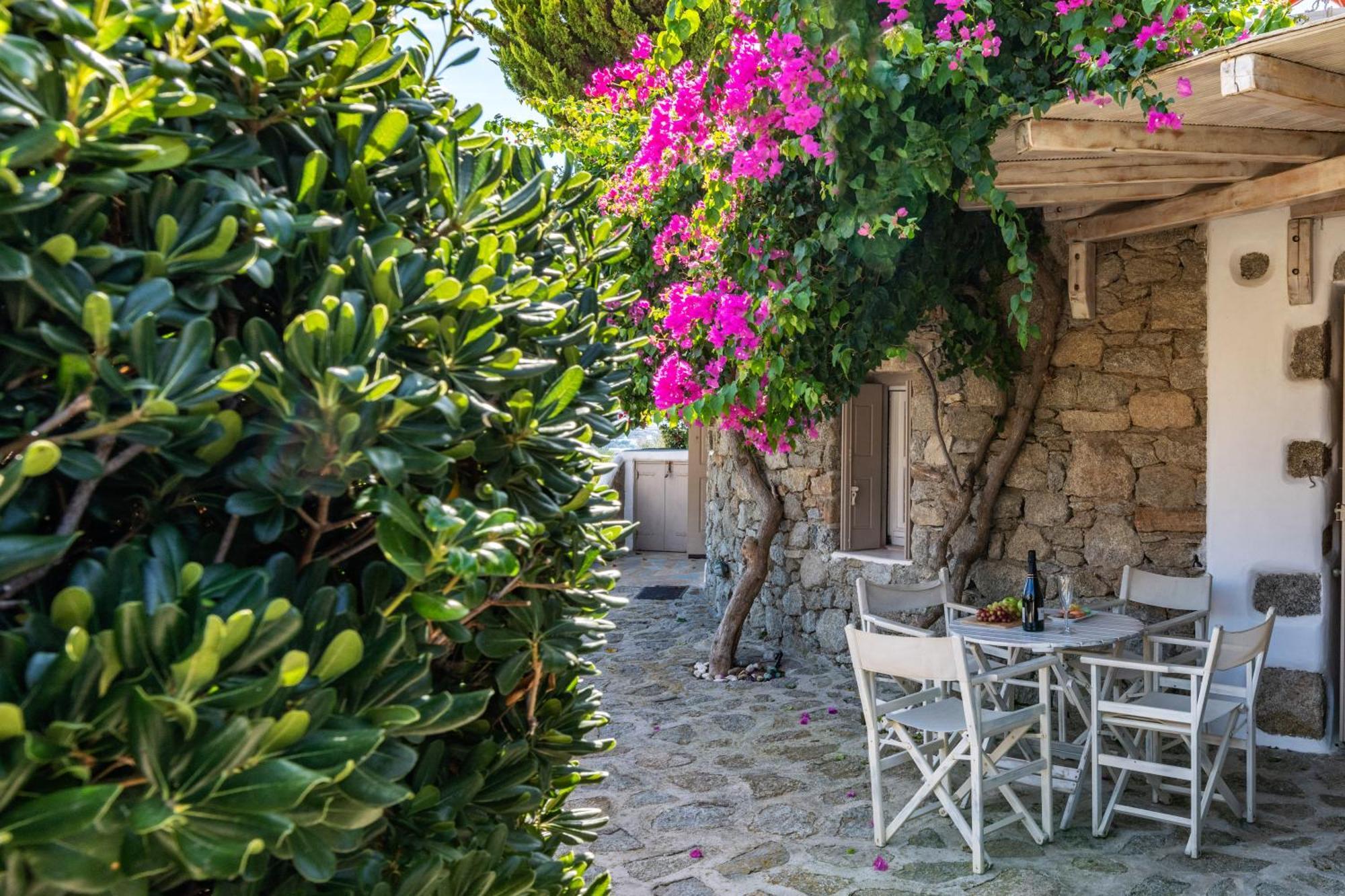 Yalos Mykonos Ornos Pouli Private W Shared Swimming Pool Apartment Mykonos Town