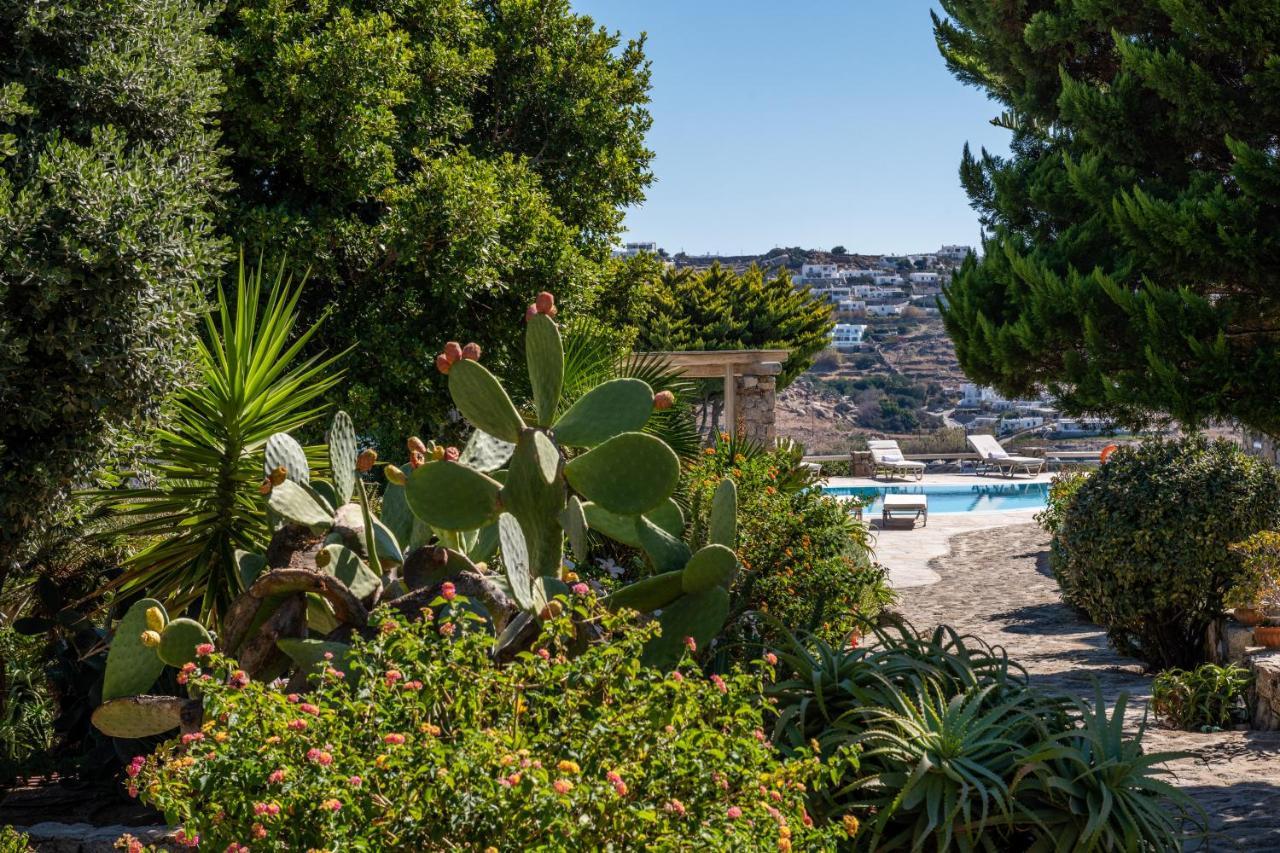 Yalos Mykonos Ornos Pouli Private W Shared Swimming Pool Mykonos Town